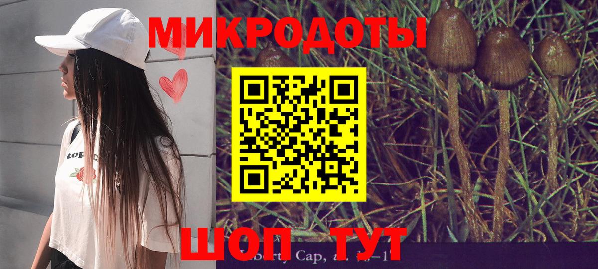 Псилоцибиновые грибы Psilocybe Киржач