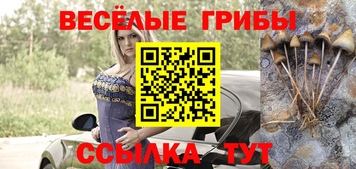 Галлюциногенные грибы ЛСД  где продают   Псилоцибиновые грибы ЛСД  Киржач  Вход с VPN 